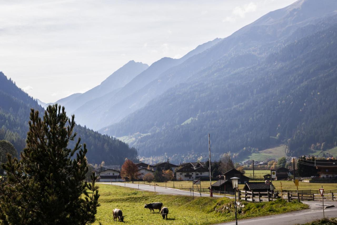 Haus Madeleine Apartment Neustift im Stubaital Luaran gambar